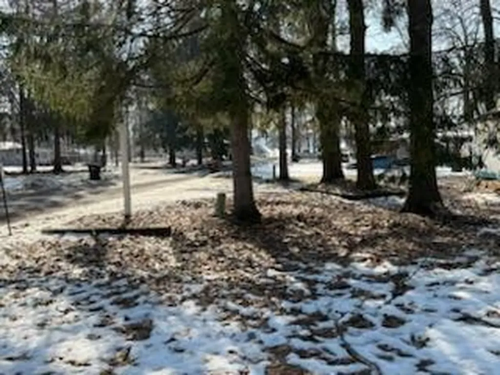11671 Heron Drive Cato Township MI 48850