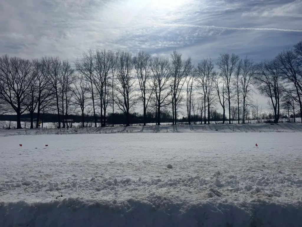 3388 Penn Station Drive Byron Township MI 49315