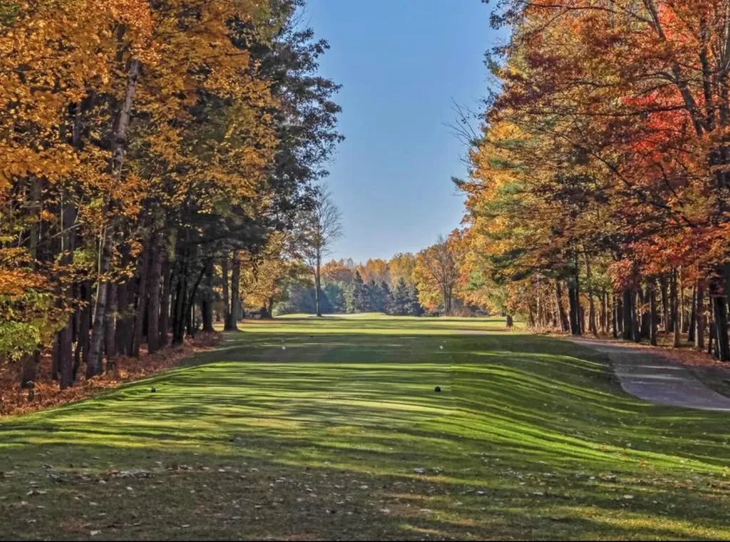 7896 Bay Meadow Morton Township MI 49346