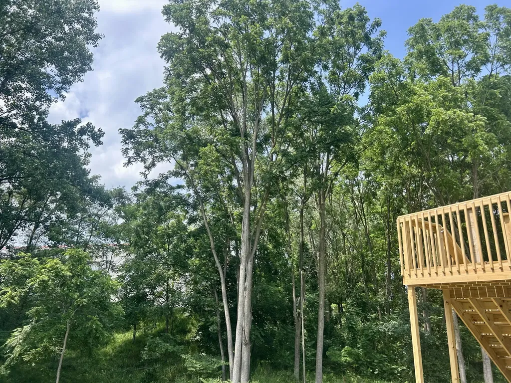 1005 Cedarwood Drive Greenville City MI 48838