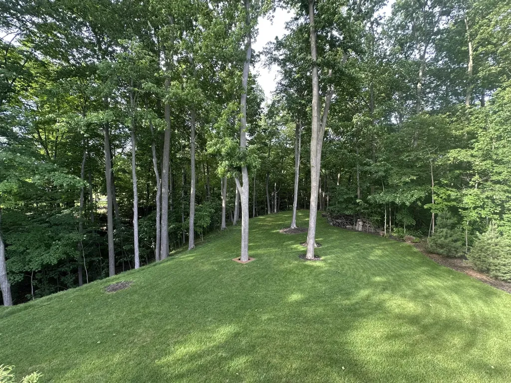 1907 Morgan Run Jamestown Charter Township MI 49426