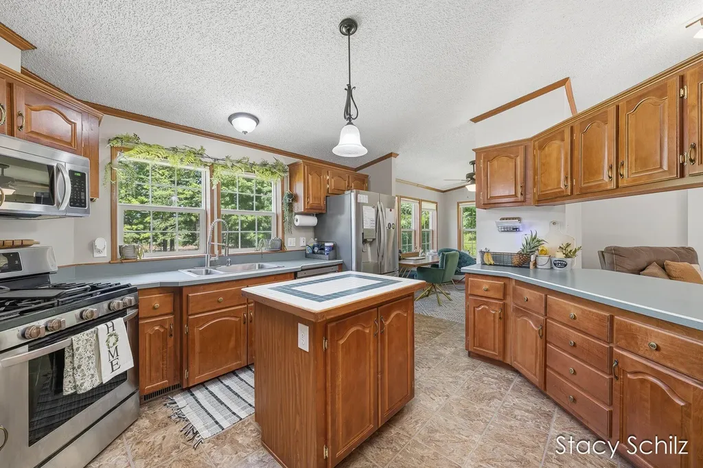 4413 S Lacey Lake Road Bellevue Township MI 49021