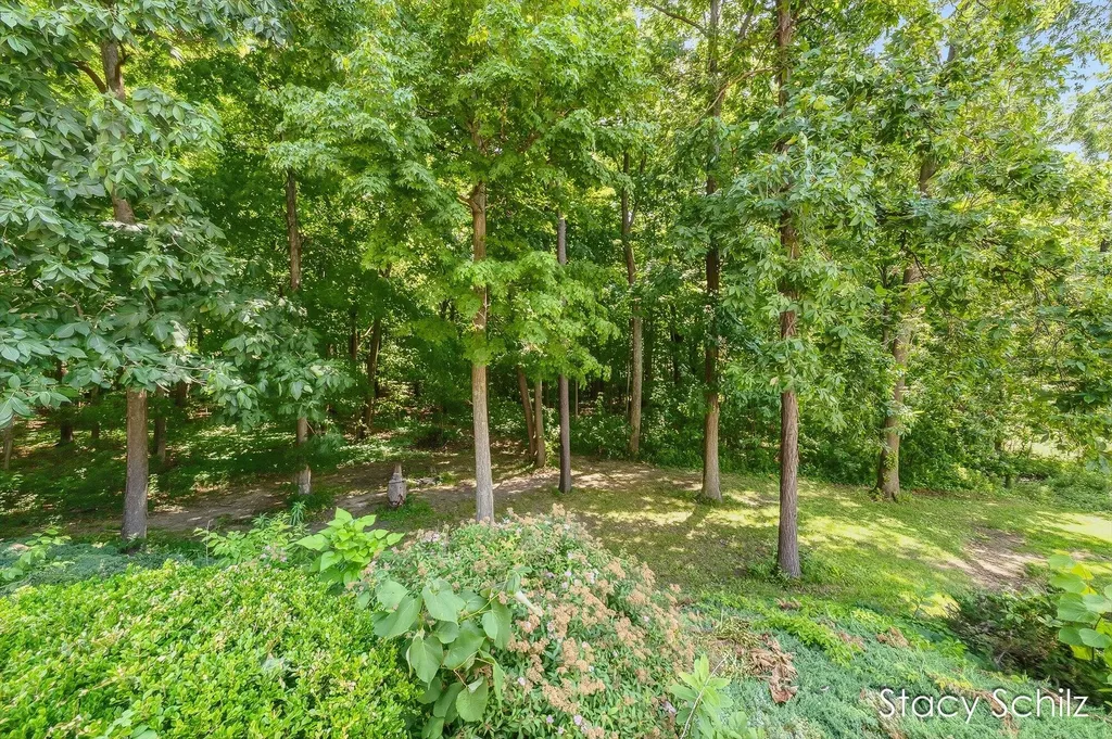 4413 S Lacey Lake Road Bellevue Township MI 49021