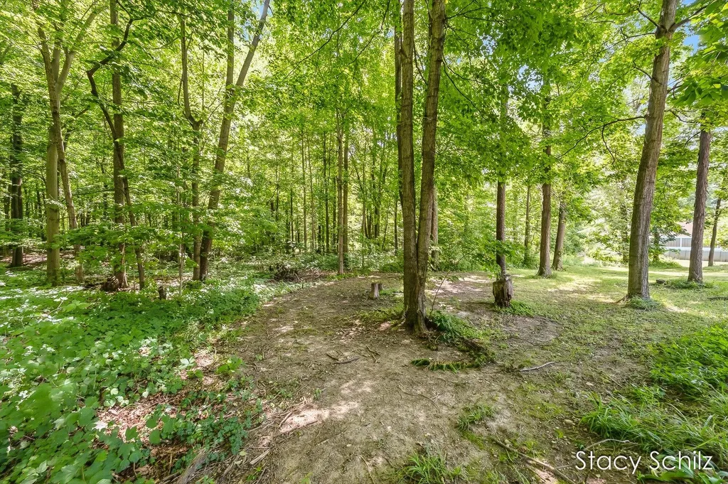 4413 S Lacey Lake Road Bellevue Township MI 49021