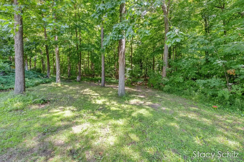 4413 S Lacey Lake Road Bellevue Township MI 49021