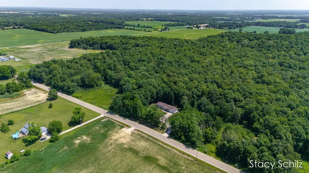4413 S Lacey Lake Road Bellevue Township MI 49021