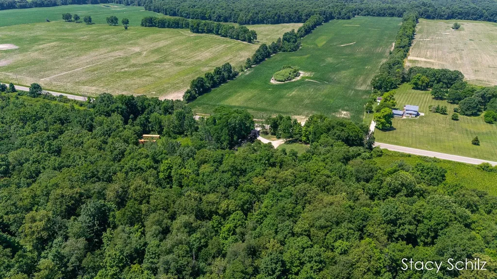 4413 S Lacey Lake Road Bellevue Township MI 49021