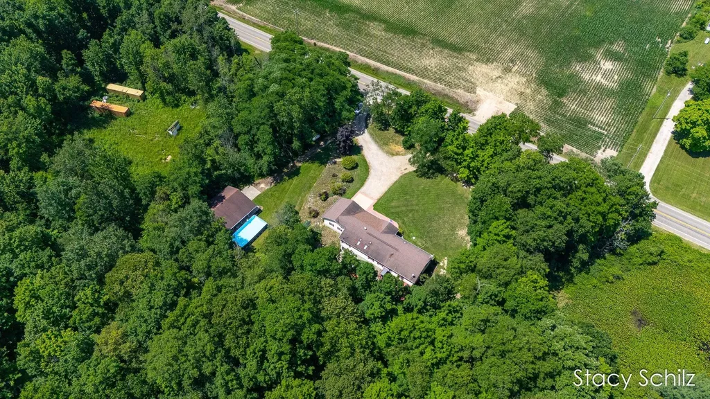 4413 S Lacey Lake Road Bellevue Township MI 49021