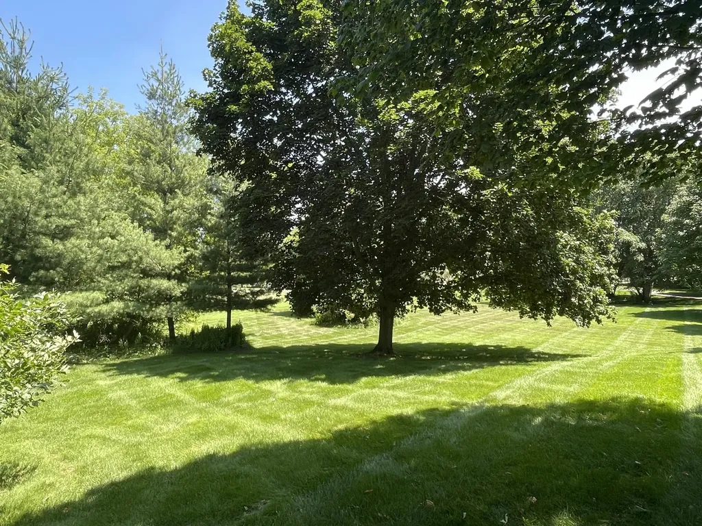 8335 Byron Garden Drive SW Byron Township MI 49315