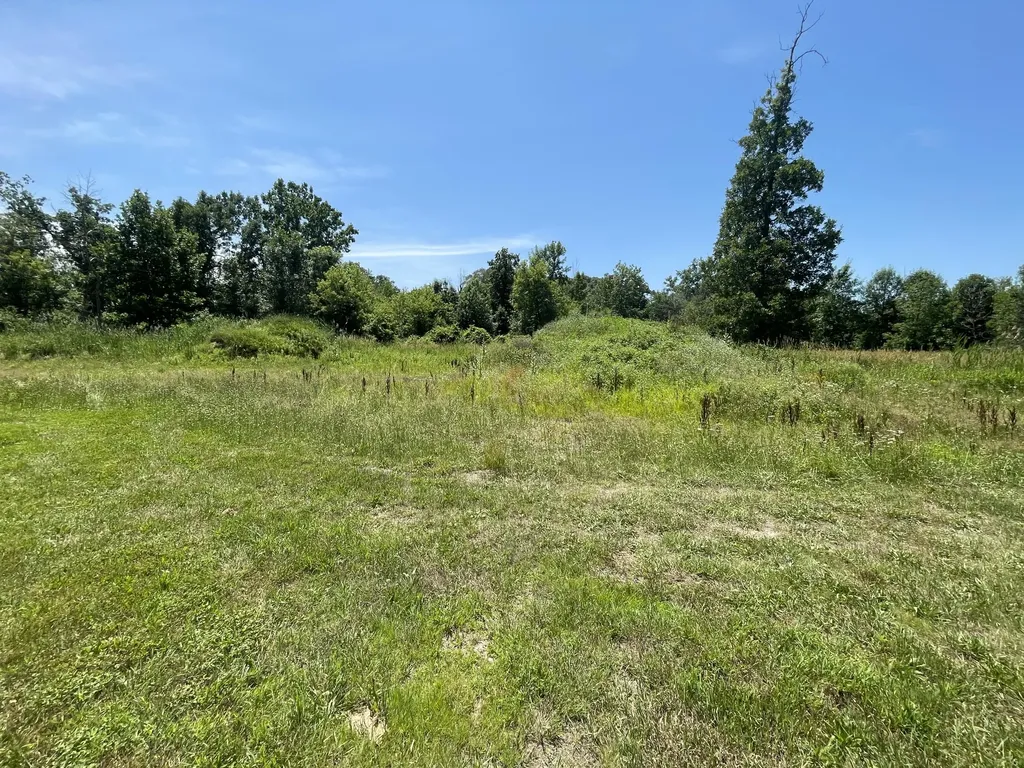 8335 Byron Garden Drive SW Byron Township MI 49315