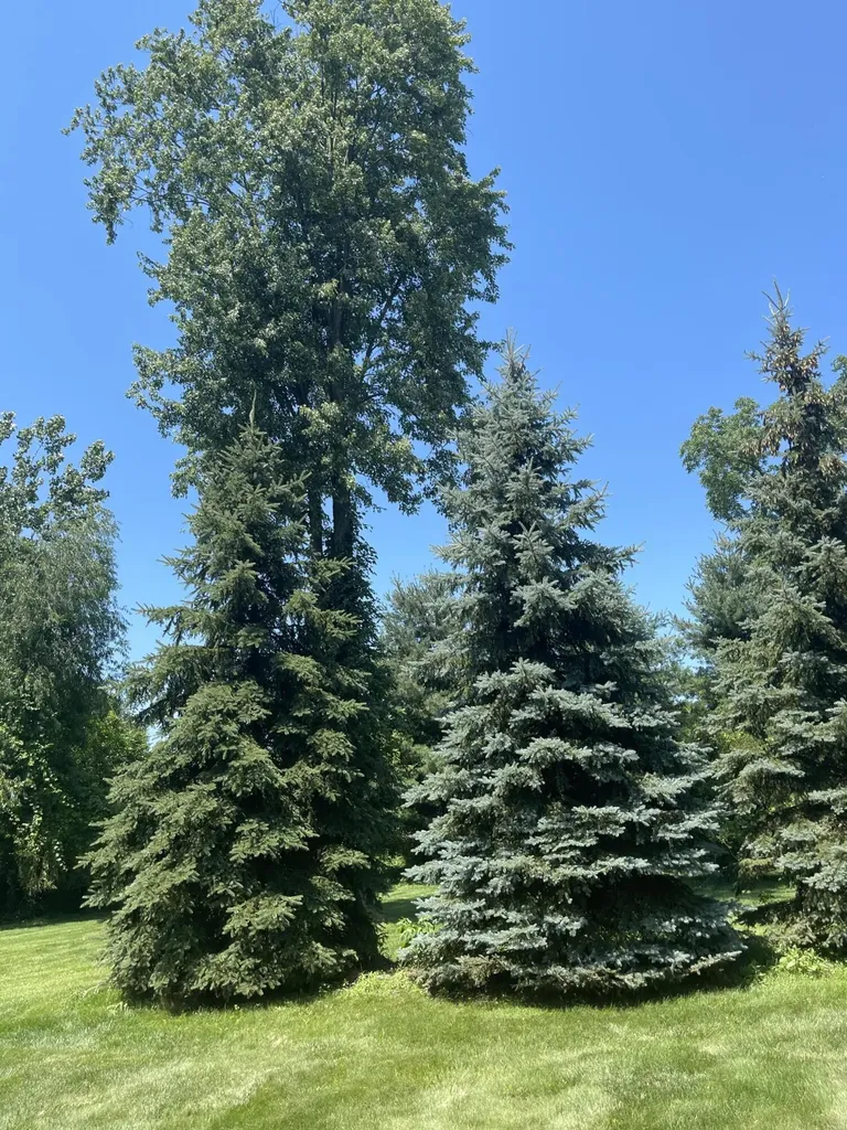 8335 Byron Garden Drive SW Byron Township MI 49315