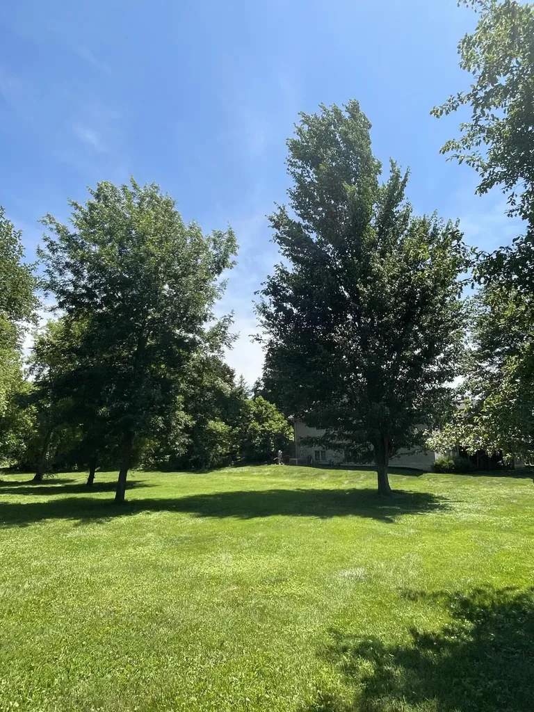 8335 Byron Garden Drive SW Byron Township MI 49315