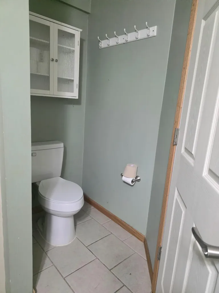 1402 E Deaner Road NE Home Township MI 48829