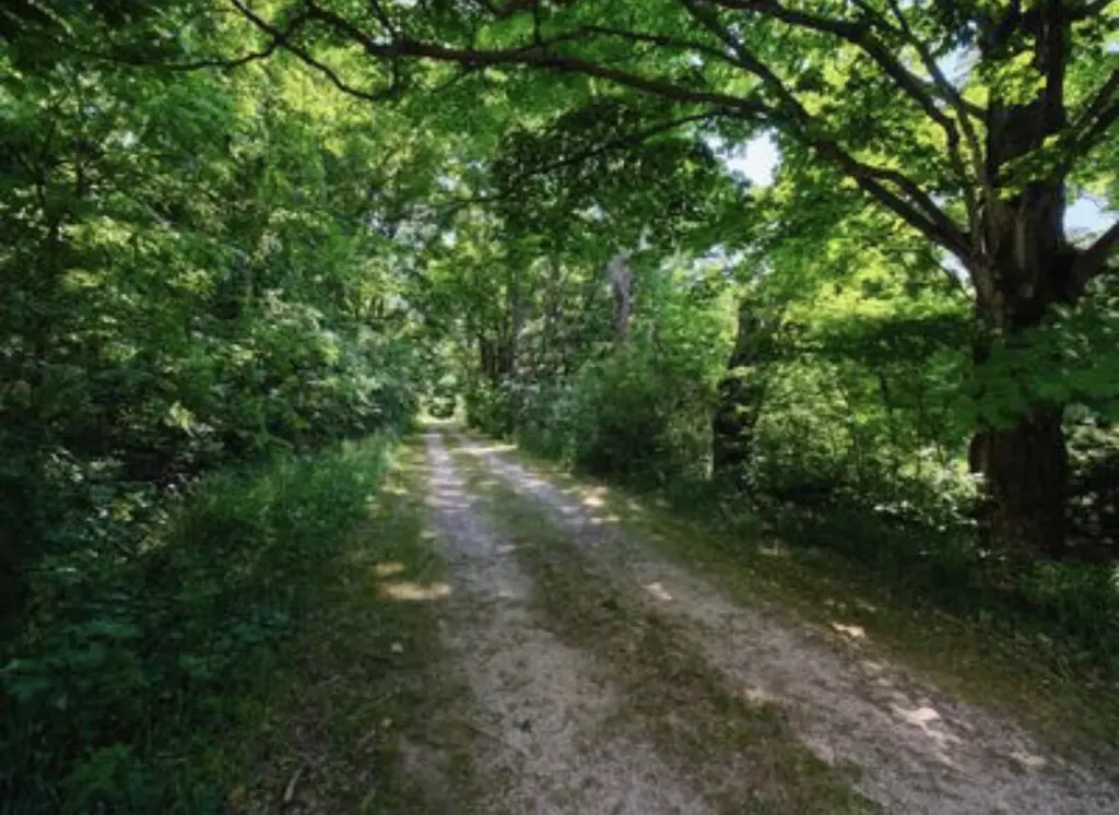 17055 Butwell Road Bear Lake Township MI 49614