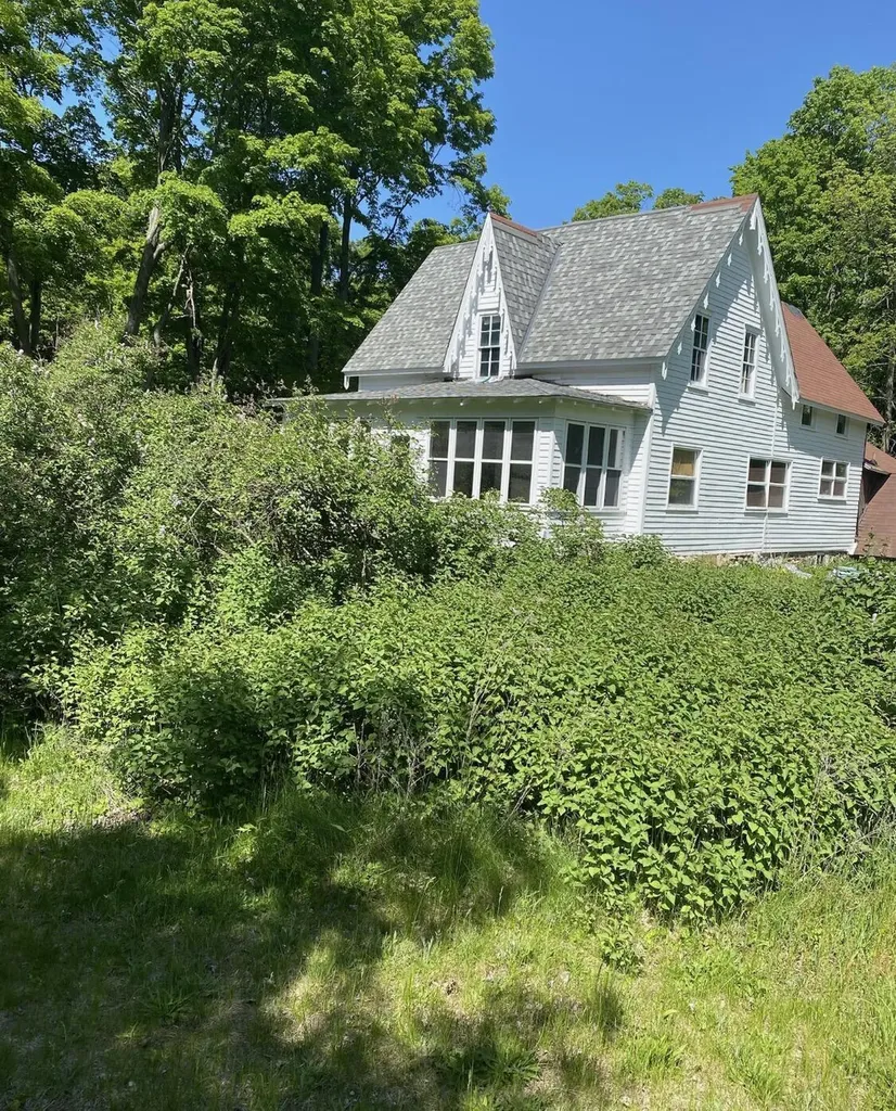 17055 Butwell Road Bear Lake Township MI 49614