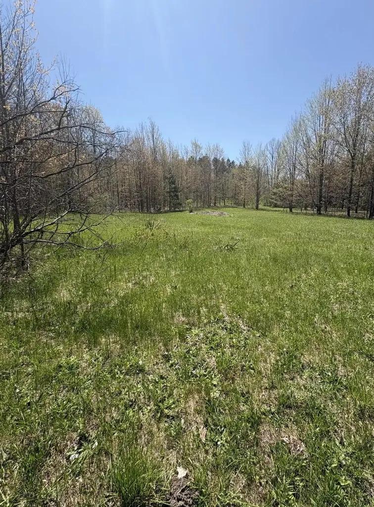 17055 Butwell Road Bear Lake Township MI 49614