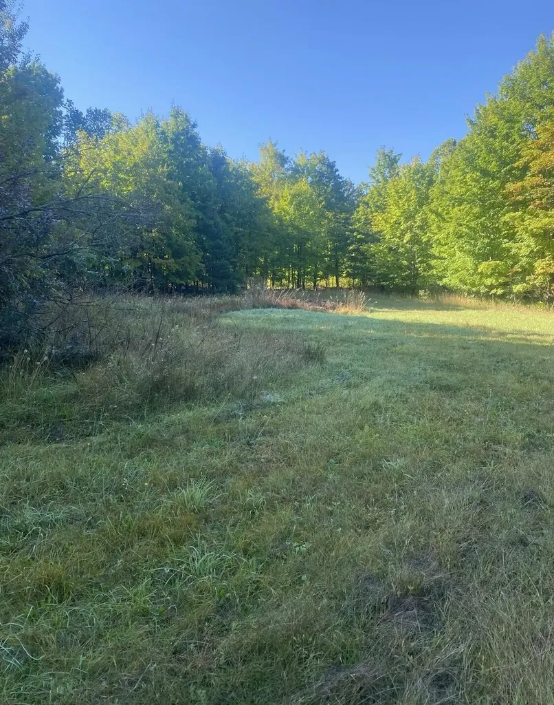 17055 Butwell Road Bear Lake Township MI 49614