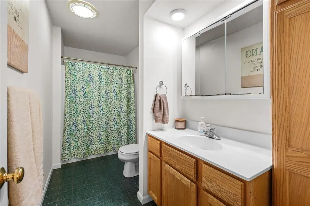 16005 Sheridan Road Bridgewater Township MI 49236