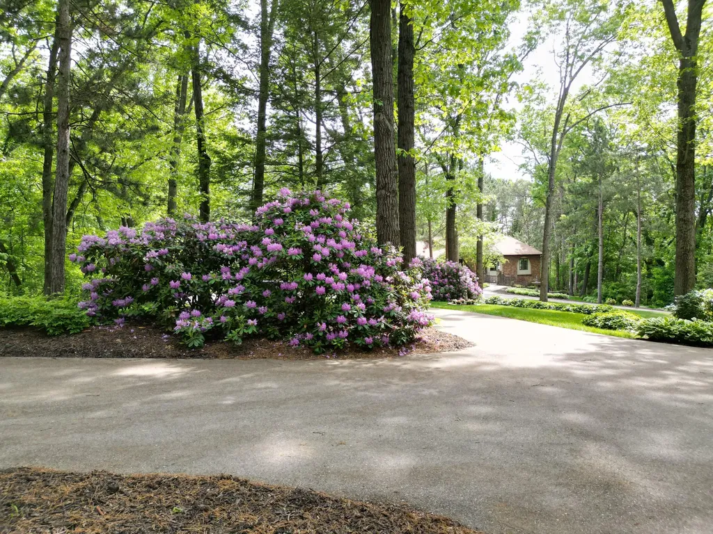 8160 Wilderness Trail NE Ada Township MI 49301