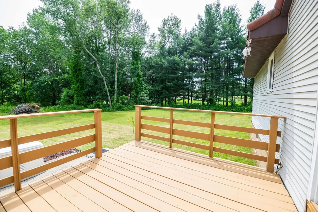 989 Mccabe Avenue NE Ada Township MI 49301