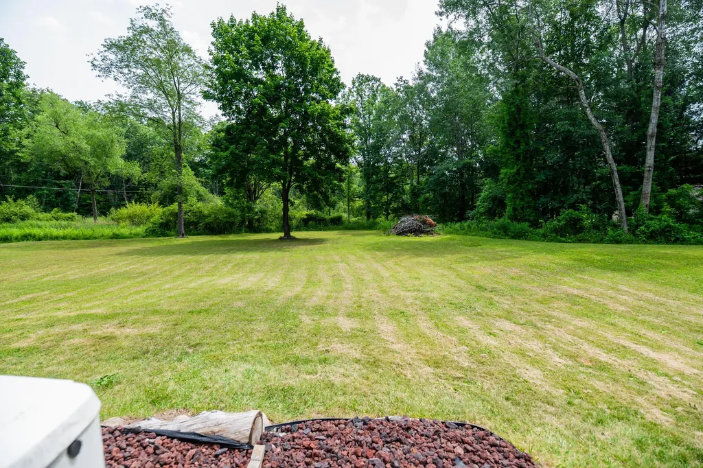 989 Mccabe Avenue NE Ada Township MI 49301
