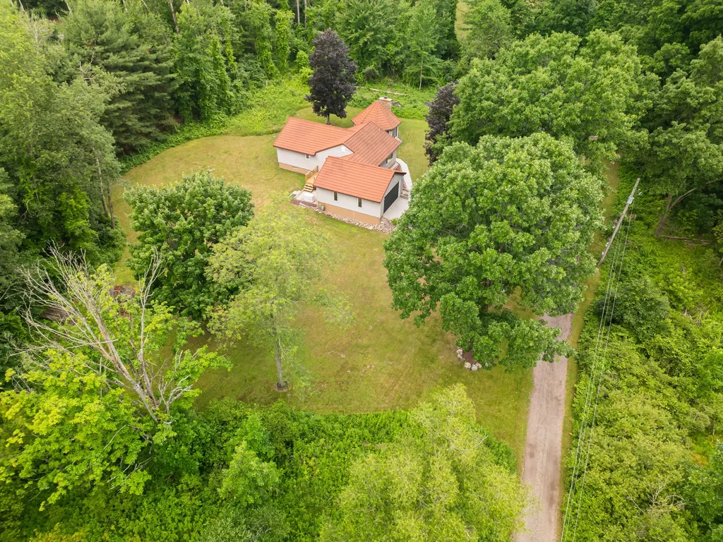 989 Mccabe Avenue NE Ada Township MI 49301