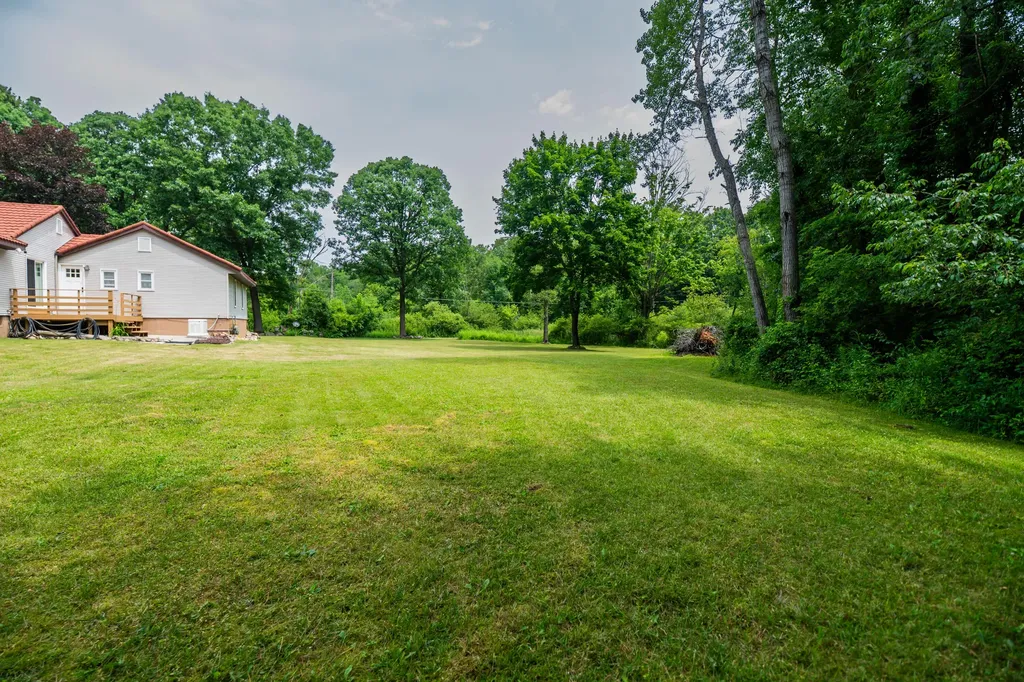 989 Mccabe Avenue NE Ada Township MI 49301