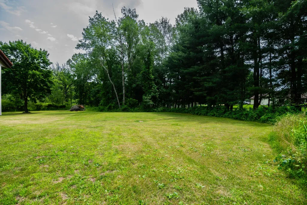 989 Mccabe Avenue NE Ada Township MI 49301