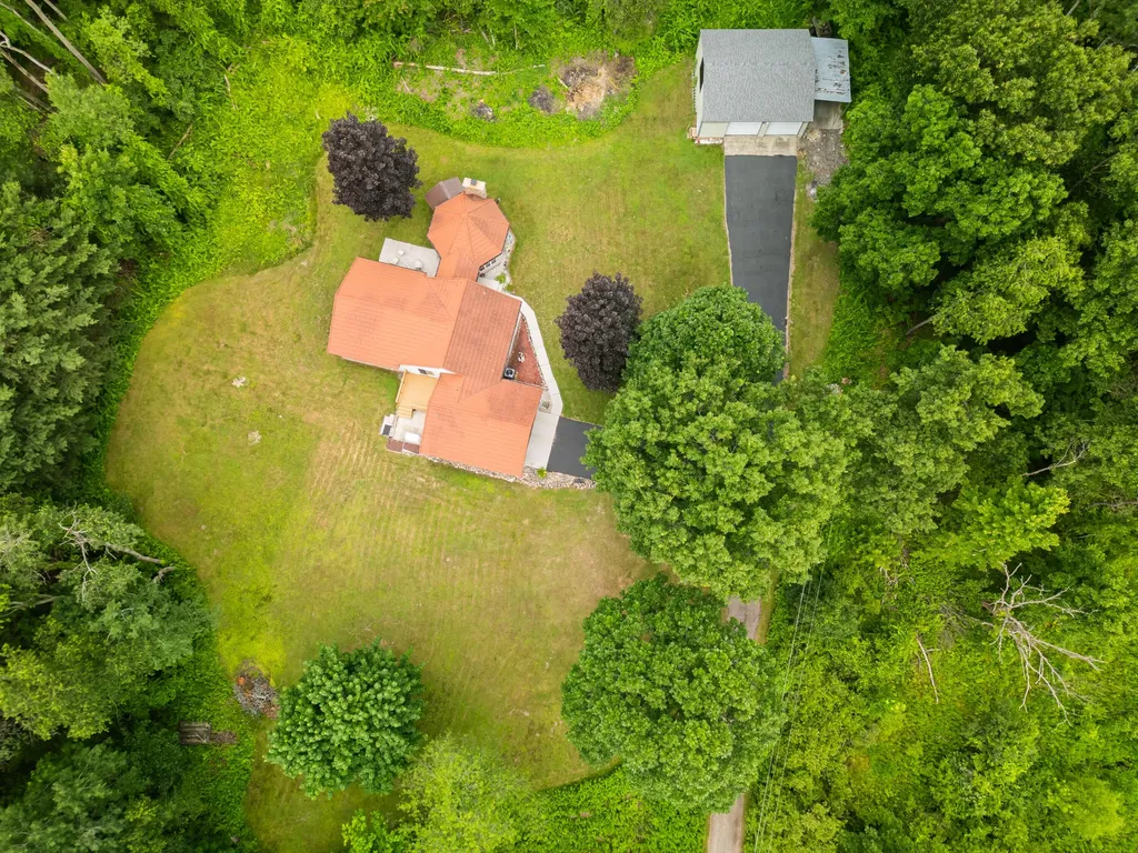 989 Mccabe Avenue NE Ada Township MI 49301