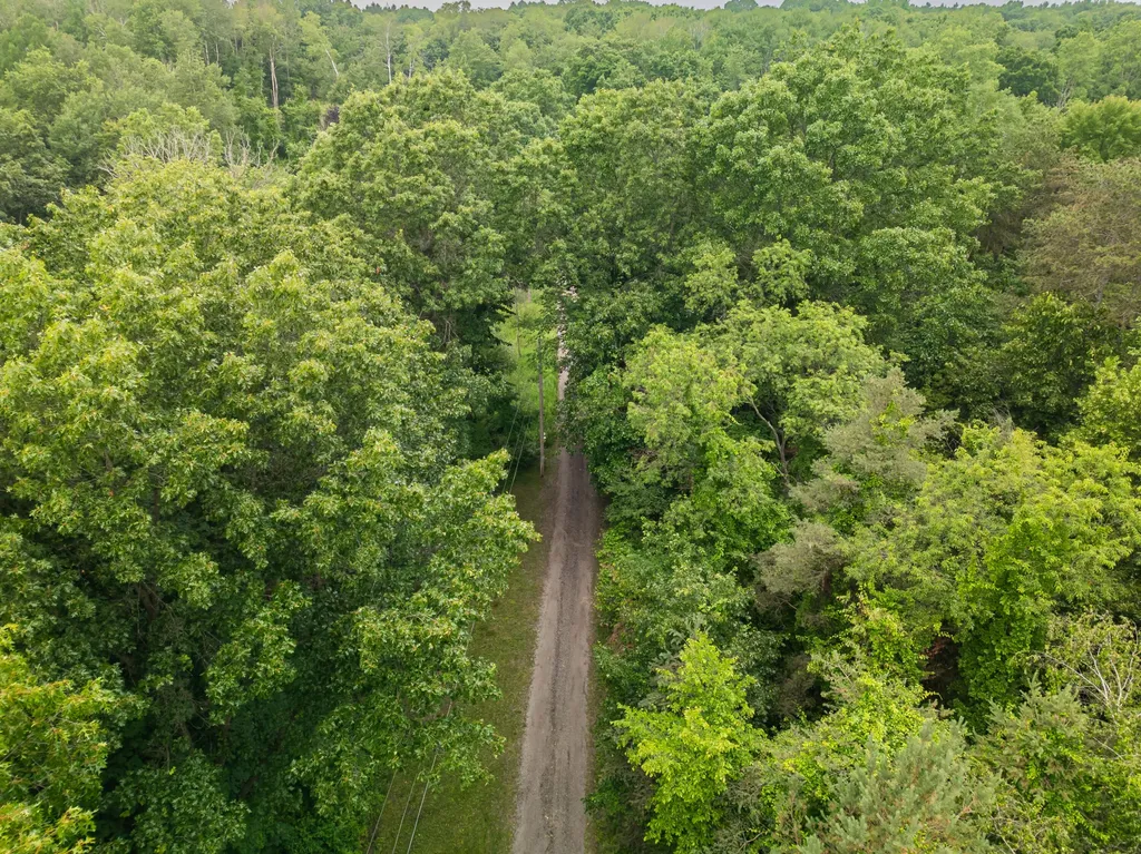 989 Mccabe Avenue NE Ada Township MI 49301