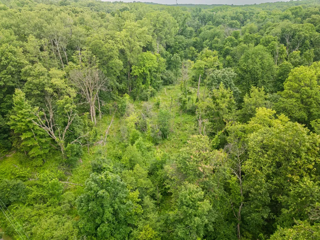 989 Mccabe Avenue NE Ada Township MI 49301