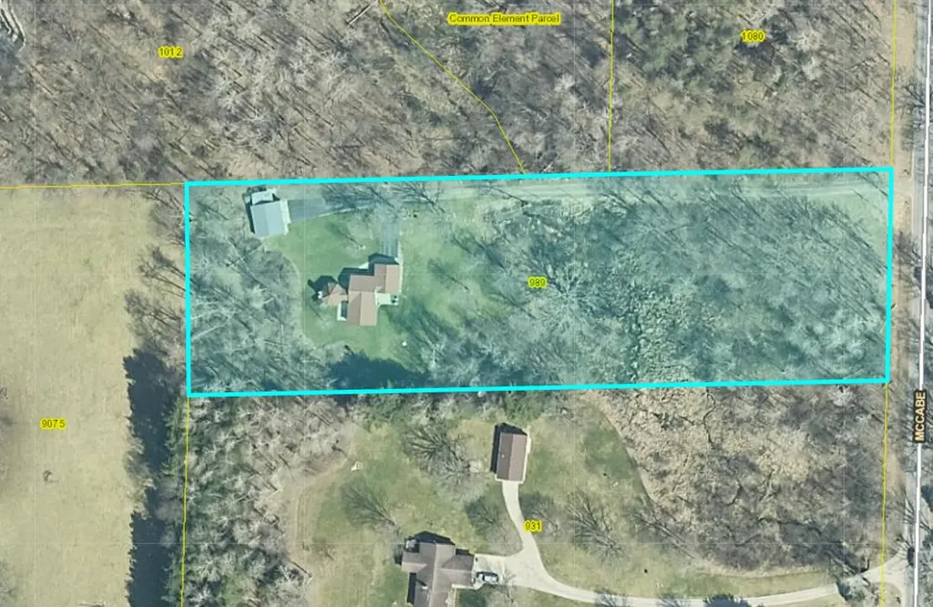 989 Mccabe Avenue NE Ada Township MI 49301