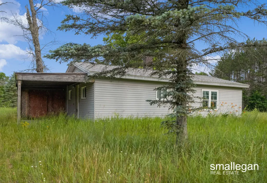 8437 S Michcon Avenue Pleasant Plains Township MI 49304