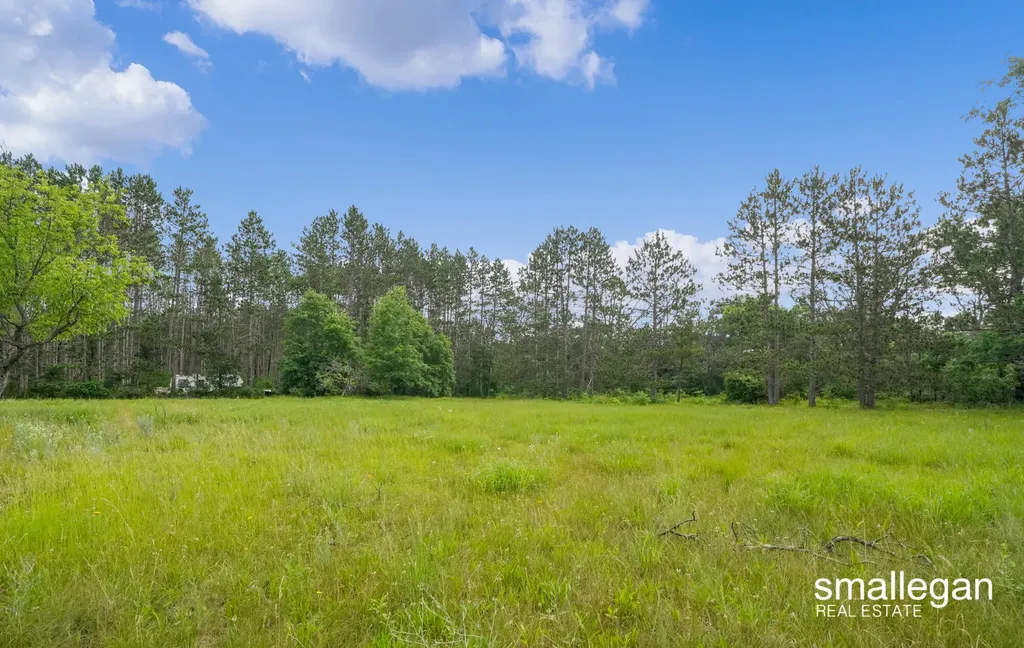 8437 S Michcon Avenue Pleasant Plains Township MI 49304