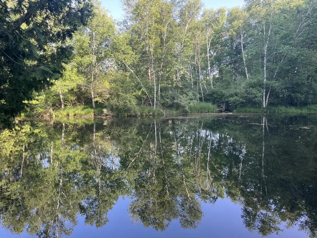 5499 W Mcbride Road Douglass Township MI 48850