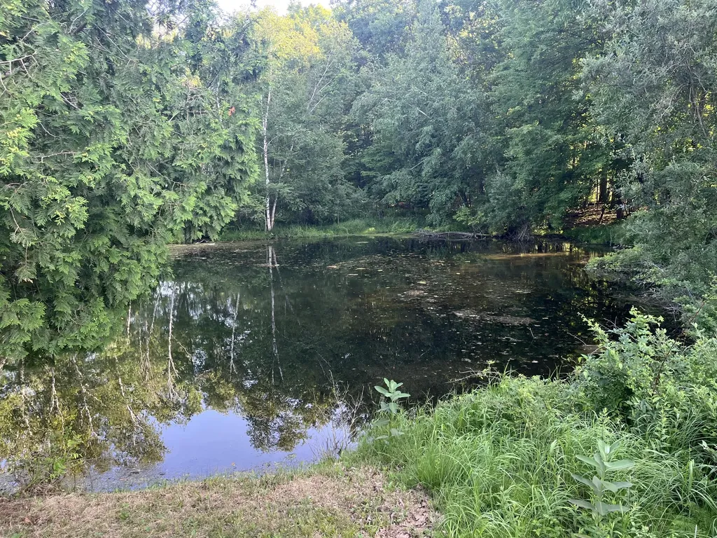 5499 W Mcbride Road Douglass Township MI 48850
