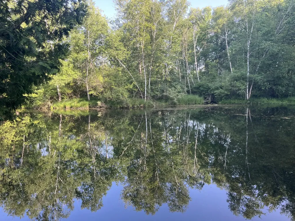 5499 W Mcbride Road Douglass Township MI 48850
