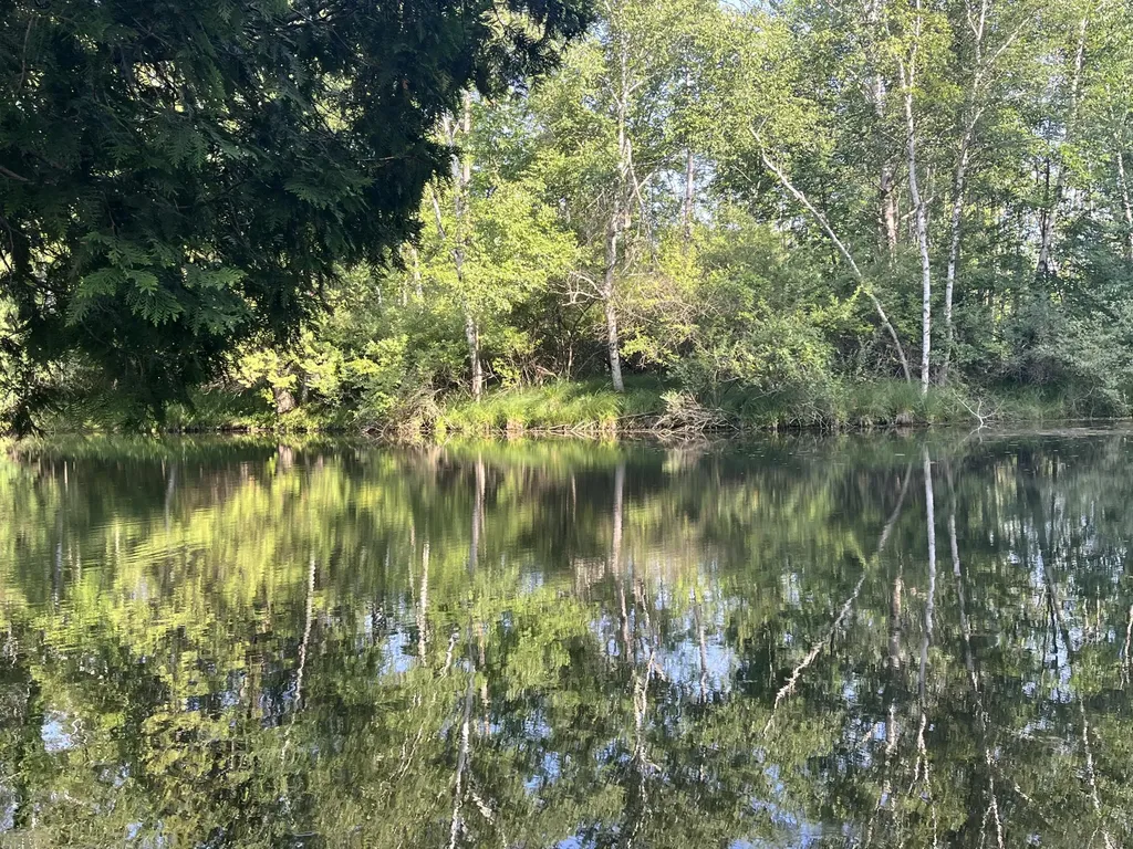 5499 W Mcbride Road Douglass Township MI 48850
