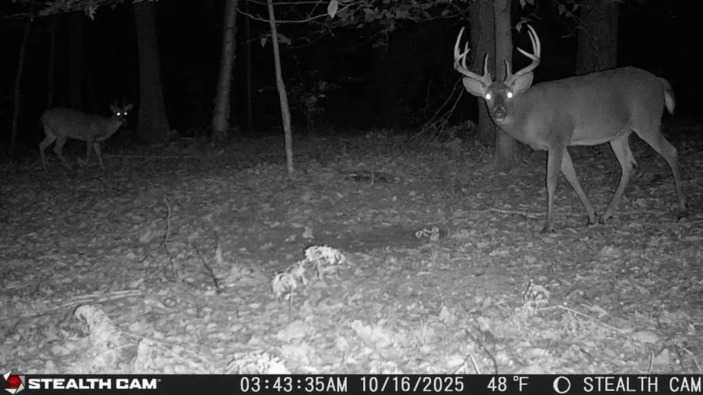 5499 W Mcbride Road Douglass Township MI 48850