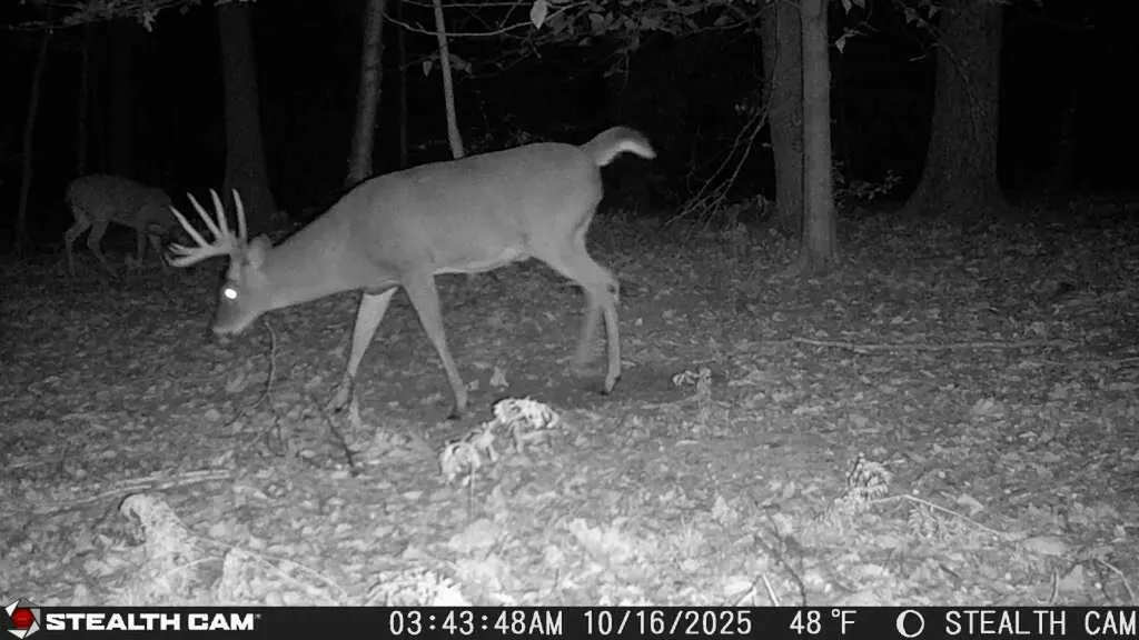5499 W Mcbride Road Douglass Township MI 48850