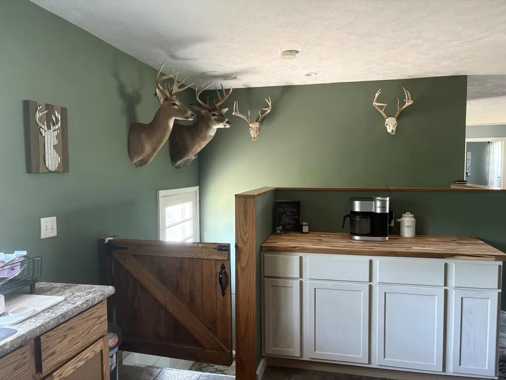 5499 W Mcbride Road Douglass Township MI 48850