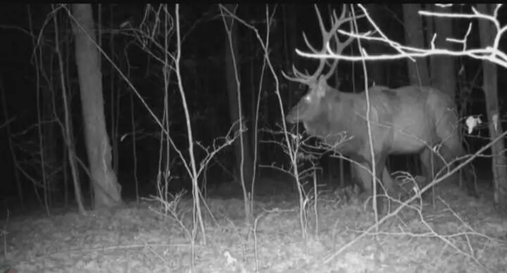 6079 M-32 Vienna Township MI 49709