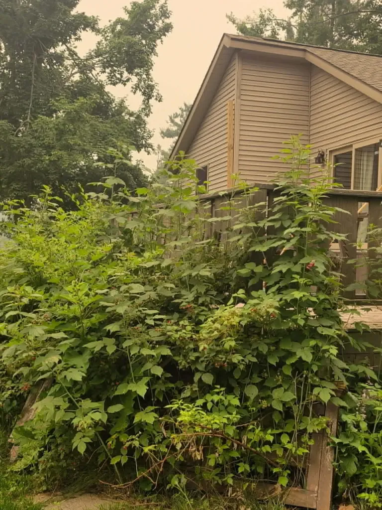 6079 M-32 Vienna Township MI 49709