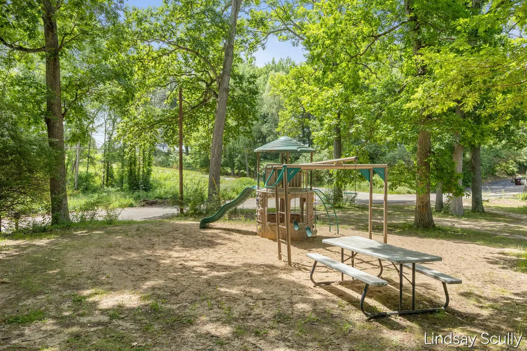 9465 Wabasis Pointe Drive NE Oakfield Township MI 48838