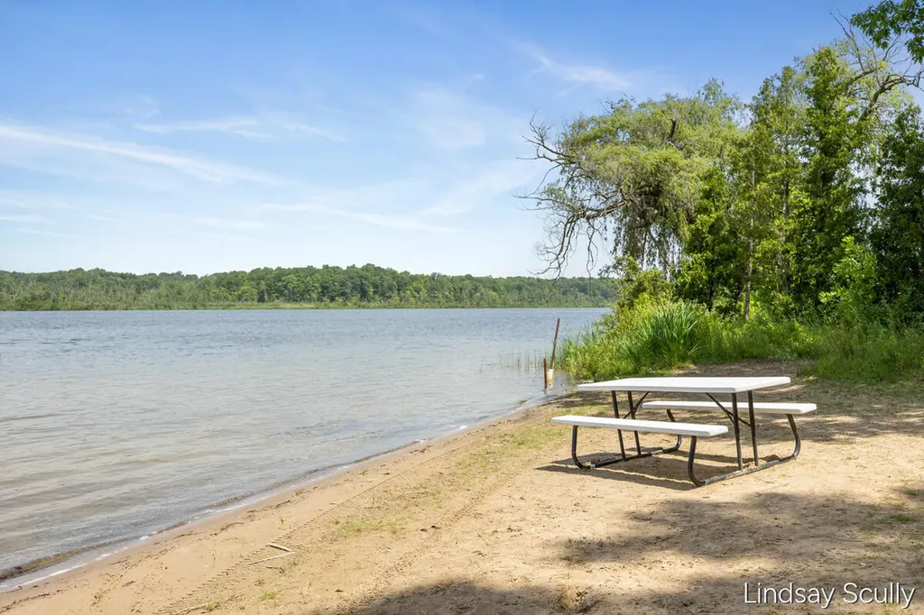 9465 Wabasis Pointe Drive NE Oakfield Township MI 48838