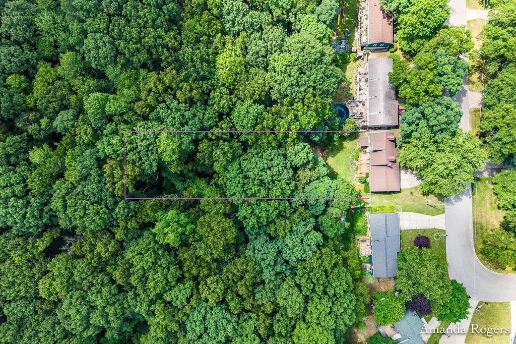 1464 Baywicke Drive SE Lowell Charter Township MI 49331