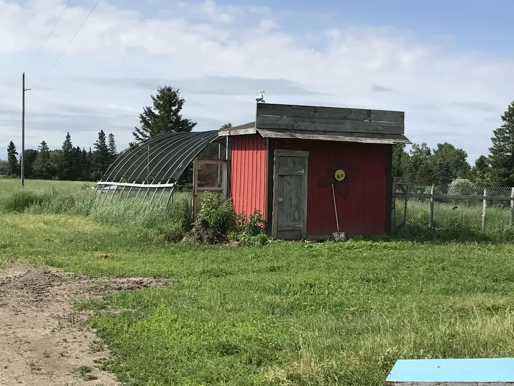 23057 S Clegg Road Pickford Township MI 49774