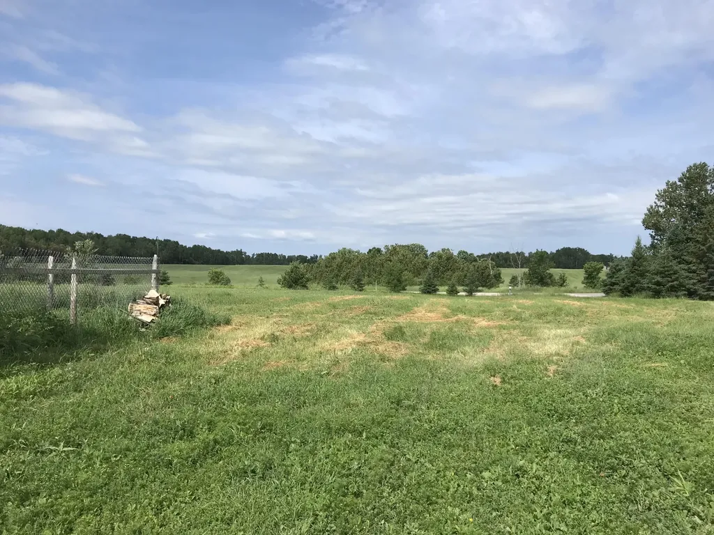 23057 S Clegg Road Pickford Township MI 49774