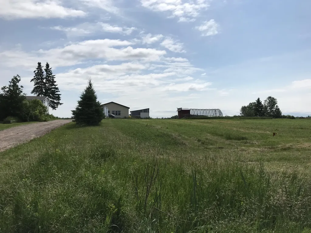 23057 S Clegg Road Pickford Township MI 49774