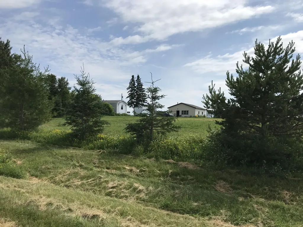 23057 S Clegg Road Pickford Township MI 49774